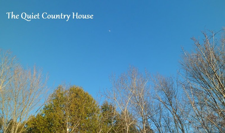 The Quiet Country House