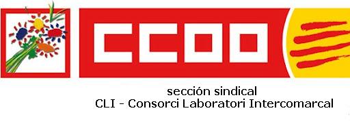 Sección Sindical de CCOO del CLI