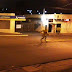 Suposto 'lobisomen' é fotogrado por morador em Recife