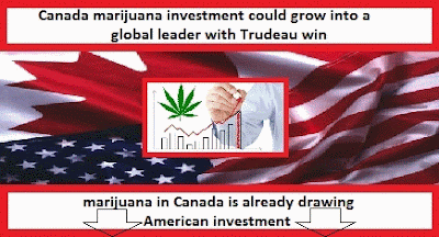 Canada marijuana investment