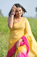 Nikitha, narayan, latest, photos, in, saree