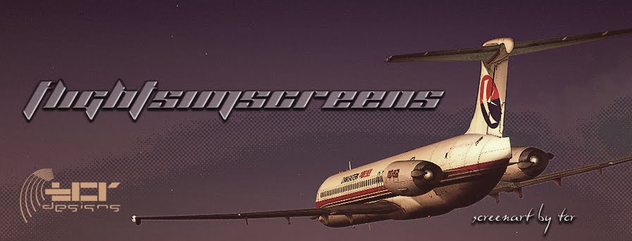 FlightSimScreens