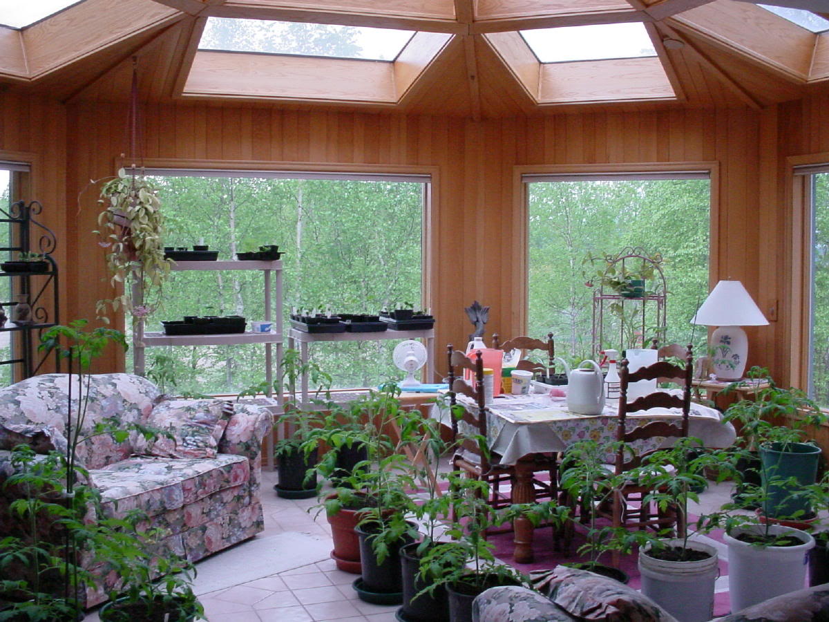 to the 2015 tomato growing season