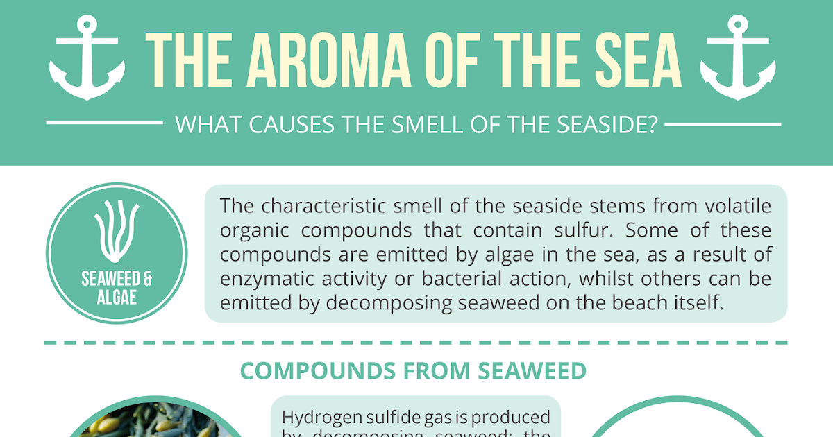The Smell of the Sea