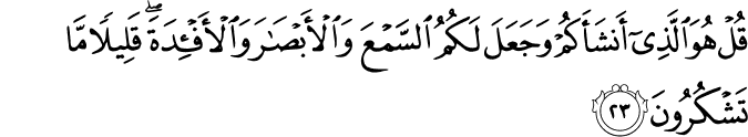 Surat Al Mulk Dan Terjemahan Al Quran Dan Terjemahan