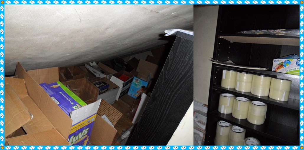 TREASURES IN THRIFTING LAND Ebay Storage Solutions