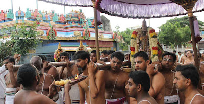 2015, Kodai Utsavam, Venkata Krishnan Swamy, Parthasarathy Temple, Thiruvallikeni, Triplicane,Day 03