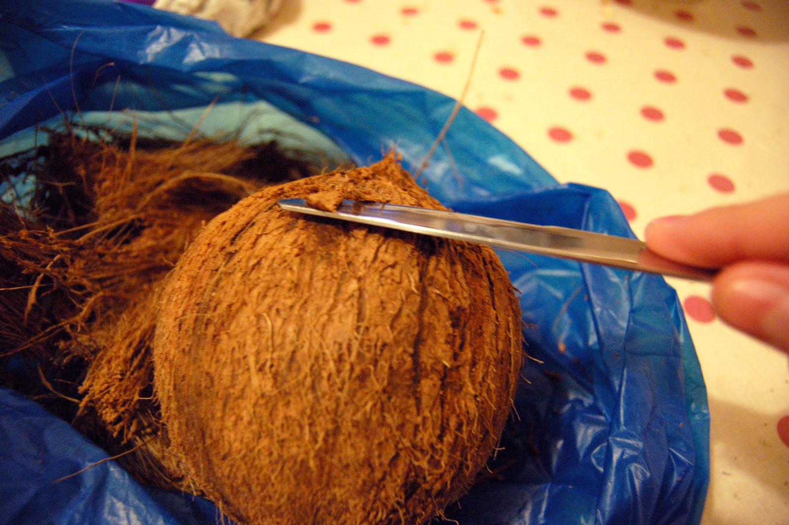 Paper Yak How to make a Coconut Bra [Photo Heavy]
