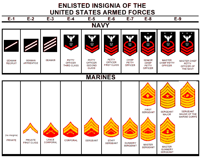 Defense Strategies Ranking Serials And Insignias of US Armed Forces