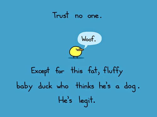 Download Samstag spruchbilder For Free Samstag Spruchbilder