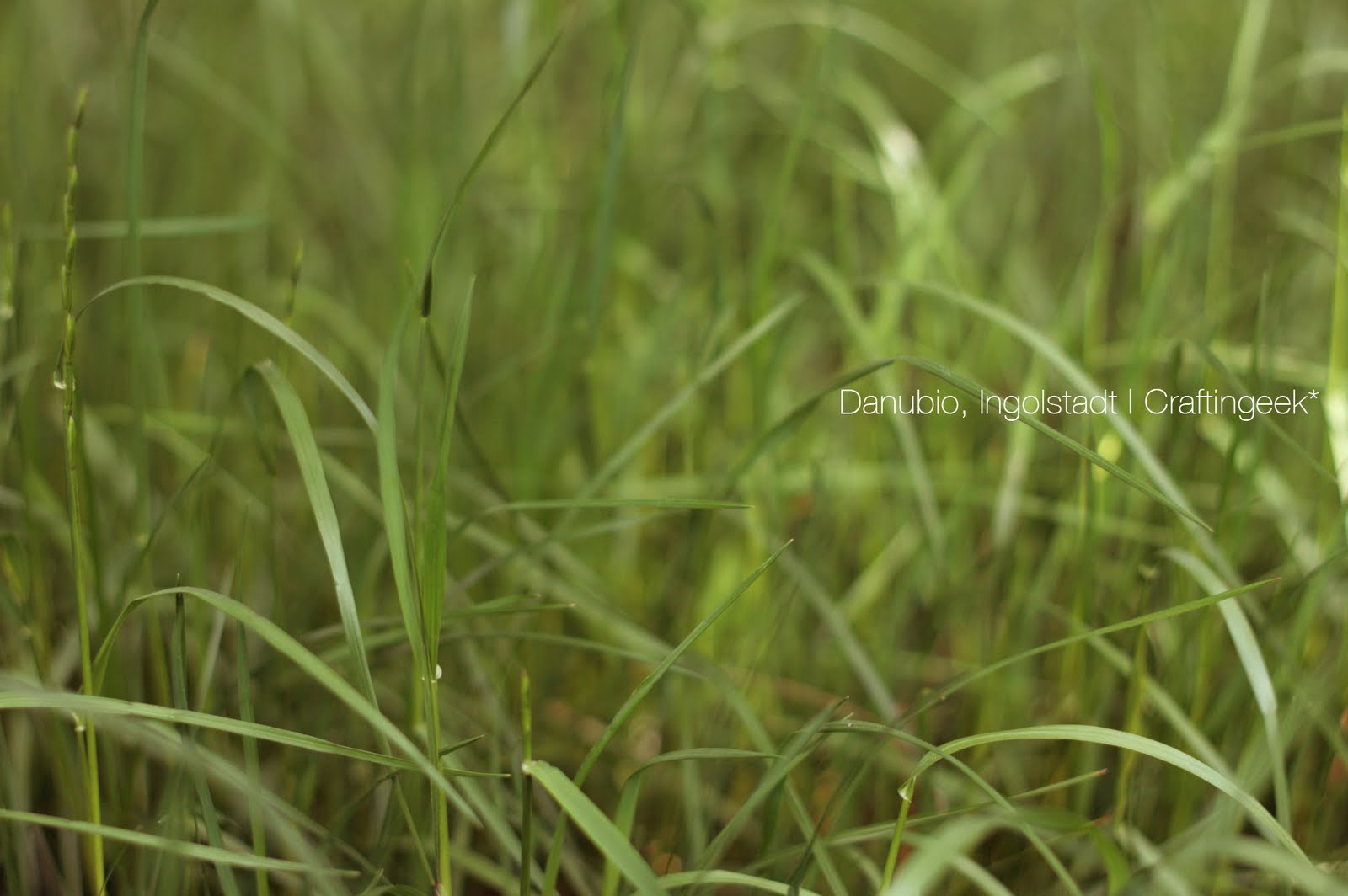 http://4.bp.blogspot.com/-Sm19RkZtEMk/TfCaD2QiLUI/AAAAAAAAA5Y/pt32Ztv2Uq0/s1600/Danubio2_wallpaper.jpg