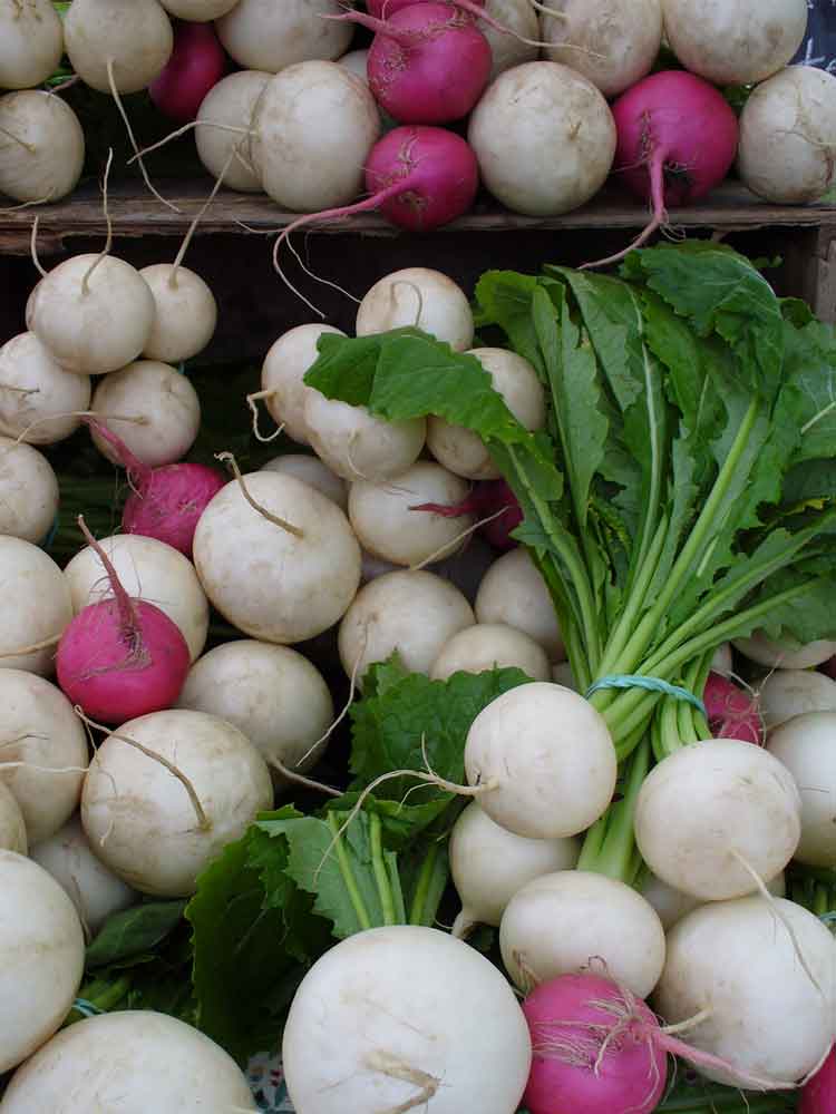I need orange turnips (or are they radishes?)