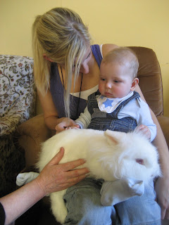 baby and rabbit, mini zoo