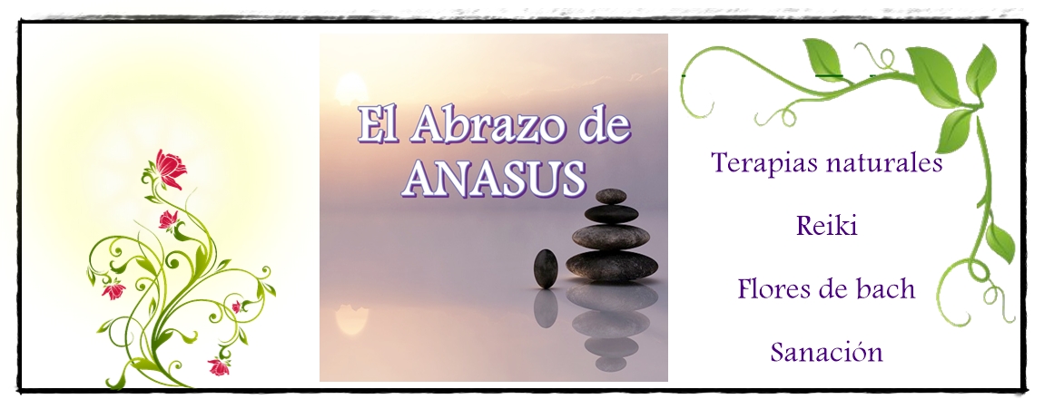 EL ABRAZO DE ANASUS