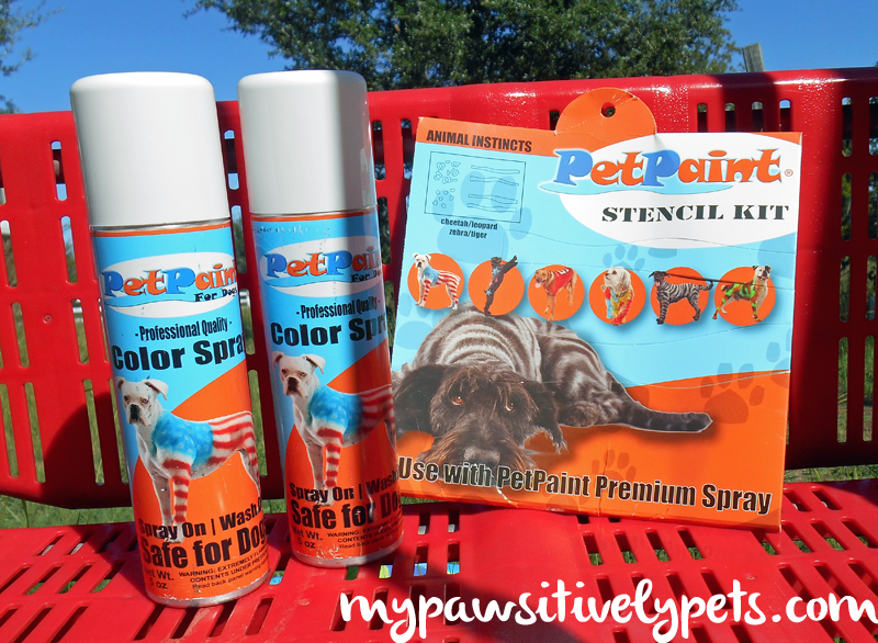 I Painted My Dog to Look Like a Tiger with PetPaint Pawsitively Pets