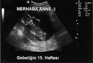 gebeliğin 15. haftası