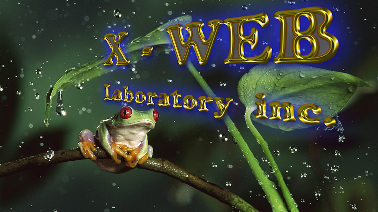 "X - WEB Laboratory inc"
