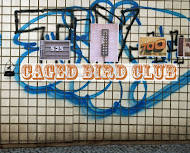 caged bird club