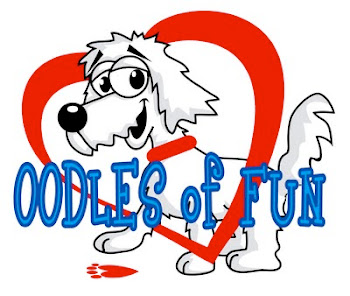 Visit Angel and Scruffy for Oodles of Fun!