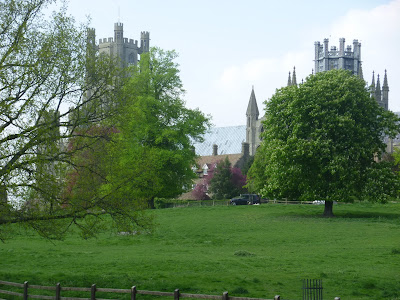 Bubblegum Cola Bottles