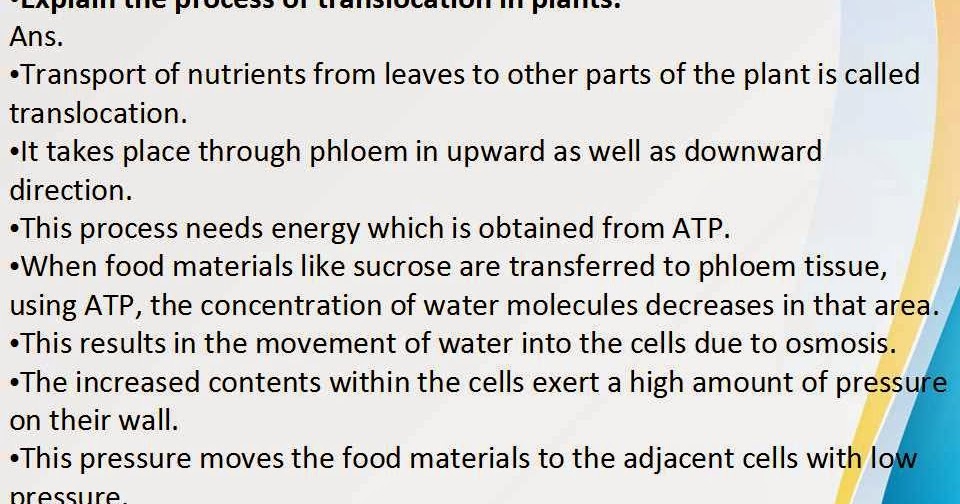 OMTEX CLASSES Explain the process of translocation in plants.