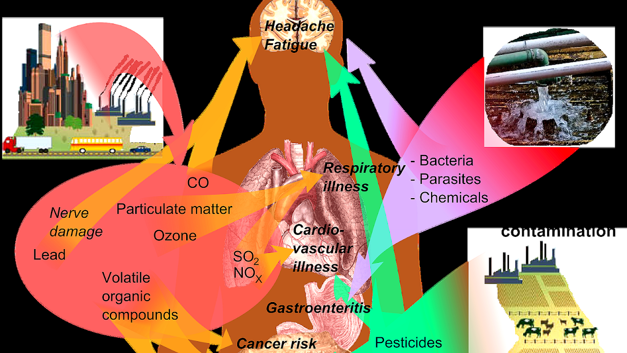 Acid Rain Health Effects Effect Choices