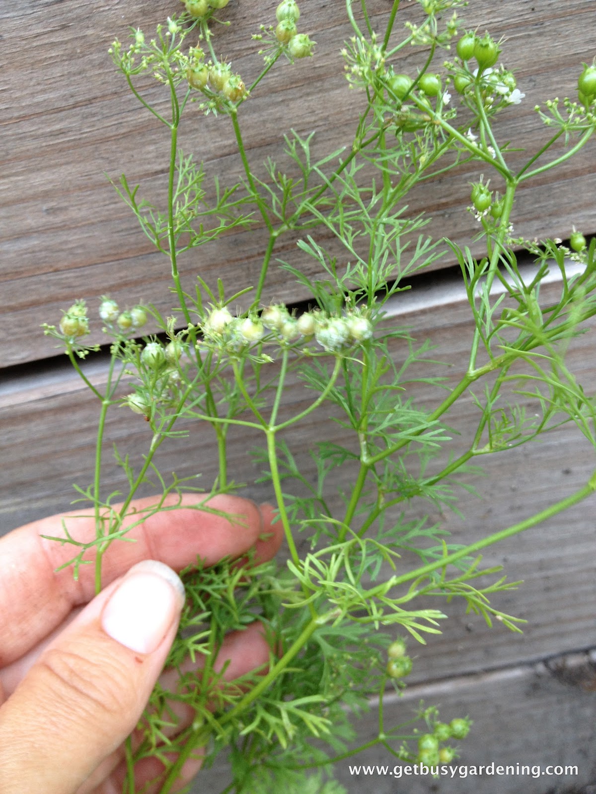 301 Moved Permanently