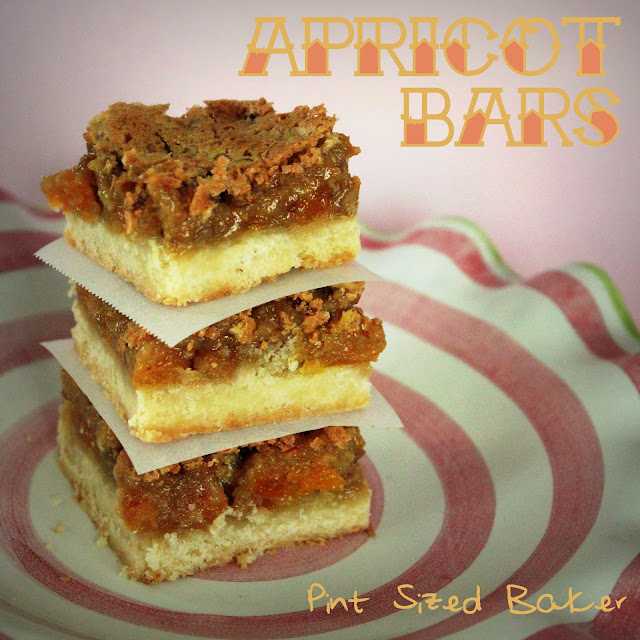 Apricot Squares 1 PS+Apricot+Squares+(4)