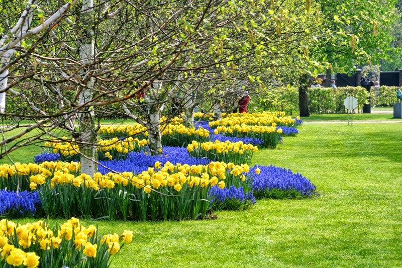 yard and garden secrets 9 1 13 10 1 13 yard and garden secrets 9 1 13 10 1 13