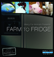 Farm to Fridge - A verdade por trás da produção de carne