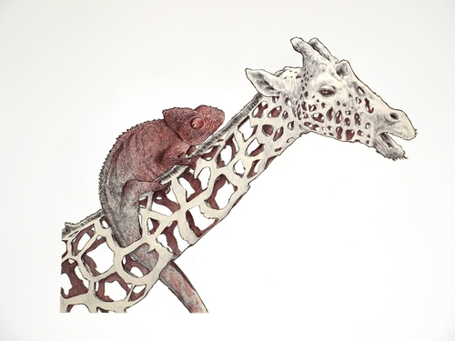06-Giraffe-and-Chameleon-Jaume-Montserrat-Illustrations-of-Ribbon-Animals-in-Emptyland-www-designstack-co