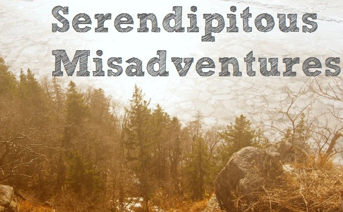 Serendipitous Misadventures