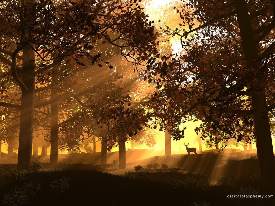 http://4.bp.blogspot.com/-SqtA4ja0zsc/TZvgwzJHlrI/AAAAAAAACxA/1fX7Lgii1z0/s1600/3d49.jpg