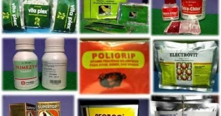 Obat Dan Vitamin Untuk Ayam Ternak Ayam obat dan vitamin untuk ayam ternak ayam