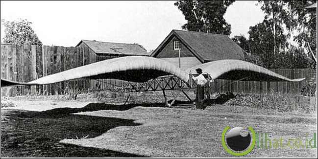 The Burke (1910) The Burke (1910)