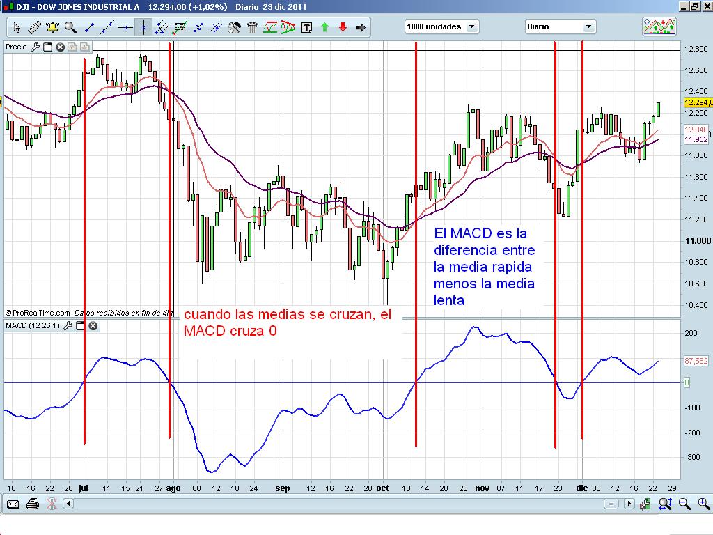 Panaxia forex