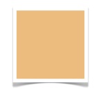 A Color Specialist in Charlotte: Paint Colors: It's a Behr!