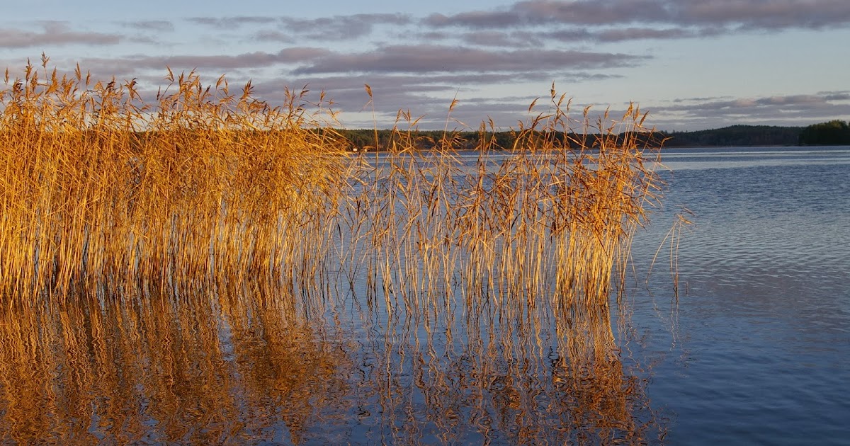 Mökkikeskus Mökkitalkkari ja mökin remontti Keuruu Jämsä Ruovesi Virrat Mänt Mökkikeskus Mökkitalkkari ja mökin remontti Keuruu Jämsä Ruovesi Virrat Mänt
