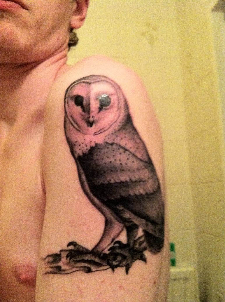 Owl Tattoos3D Tattoos Owl Tattoos3D Tattoos