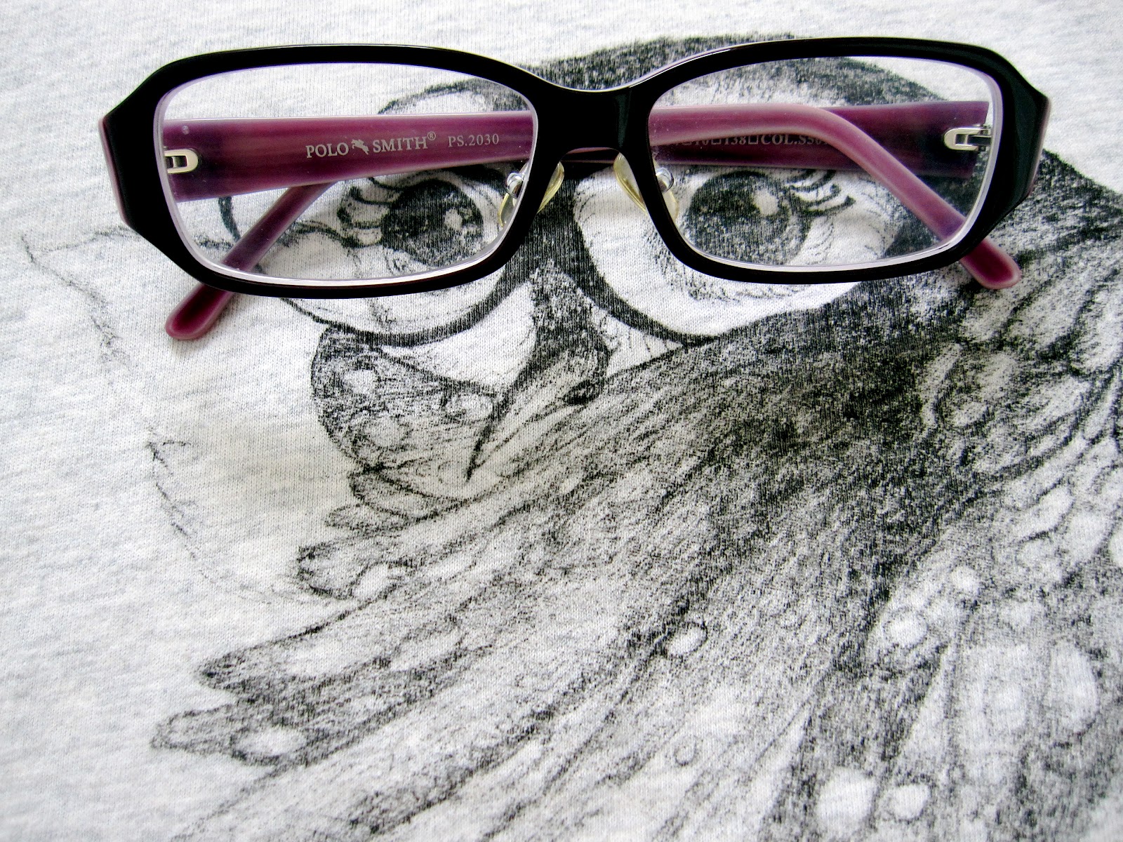Polo Smith Glasses