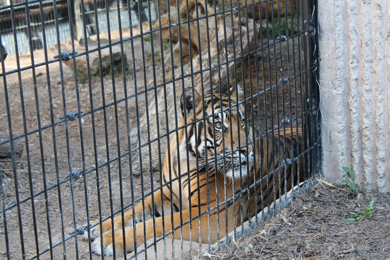 Adventures Among Us Kansas City Zoo, Kansas City, MO