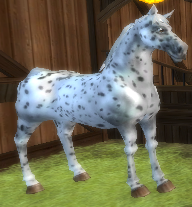 Star Stable Daily Horse Breeds