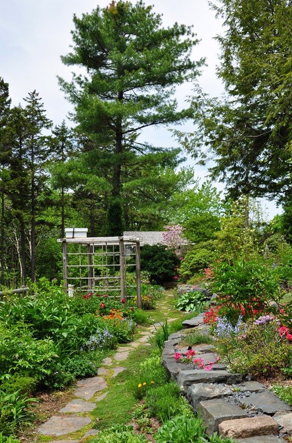 Three Dogs in a Garden My trip Home to Nova Scotia