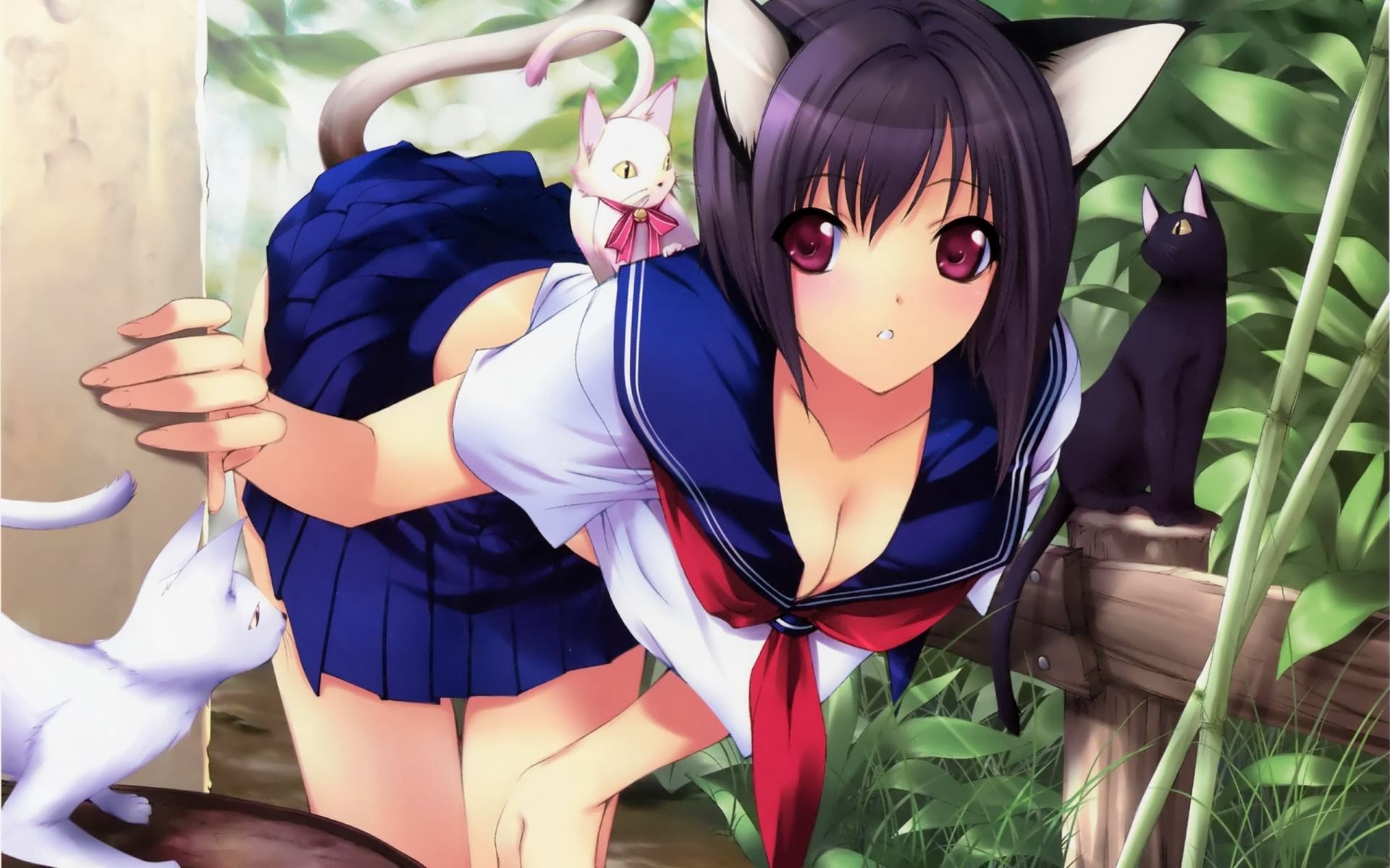 Neko Anime Girl Cat a960 HD Wallpaper