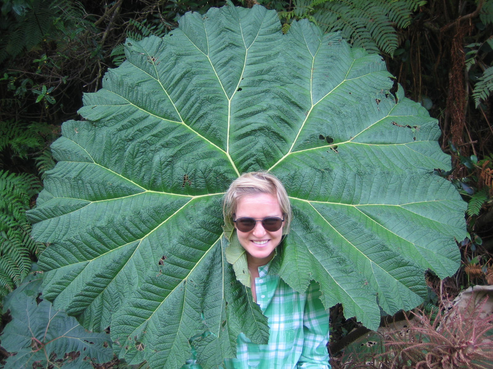 Our dream honeymoon 4 months in Latin America Costa Rica Pura Vida!