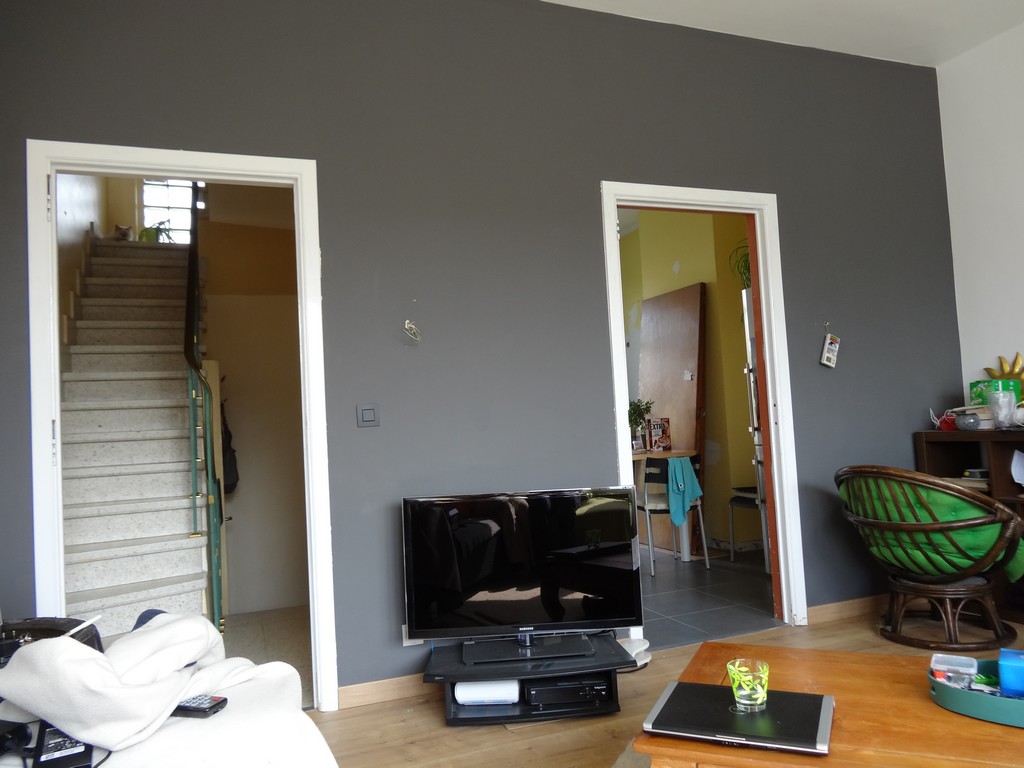 Nice Salon Peint En Gris #6: Voici Mon Salon, Peint Avec Ombre Nocturne (gris) Et Lune (blanc), Tous Les Deux De La Marque Dulux : Nice Salon Peint En Gris #6: Voici Mon Salon, Peint Avec Ombre Nocturne (gris) Et Lune (blanc), Tous Les Deux De La Marque Dulux :