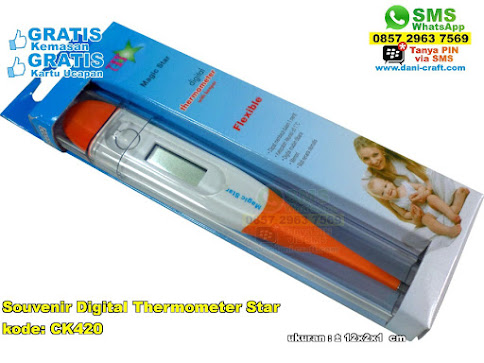 Souvenir Digital Thermometer Star