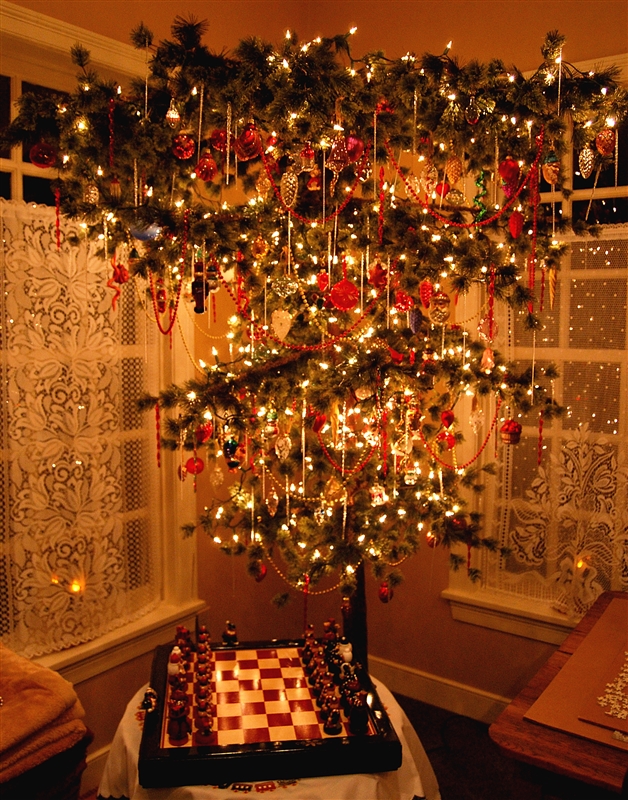 1000+ images about UPSIDE DOWN CHRISTMAS TREES! on Pinterest | Hanging upside down, Christmas ...