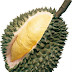 Buah Durian (Durio Zibethinus Murr) dan Manfaatnya
