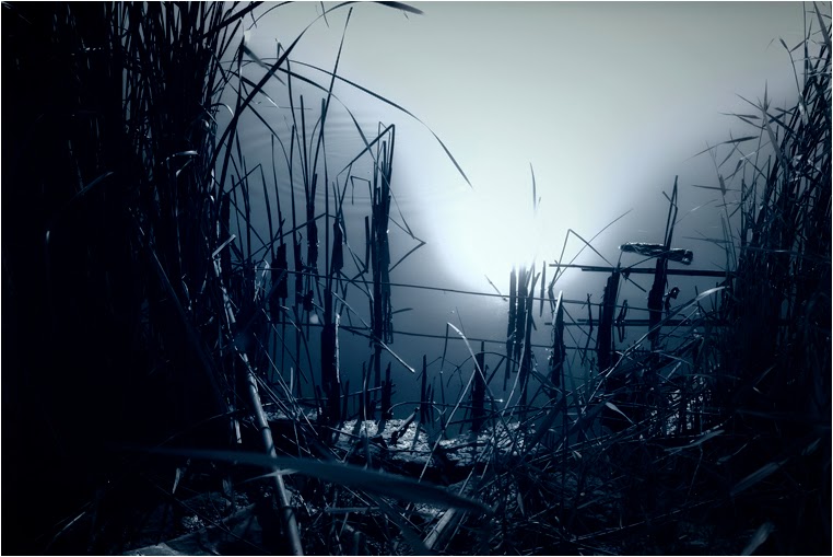 amateur photographers, Best Photo of the Day in Emphoka by In_a_silent_way_1969, https://flic.kr/p/pHj319 amateur photographers, Best Photo of the Day in Emphoka by In_a_silent_way_1969, https://flic.kr/p/pHj319